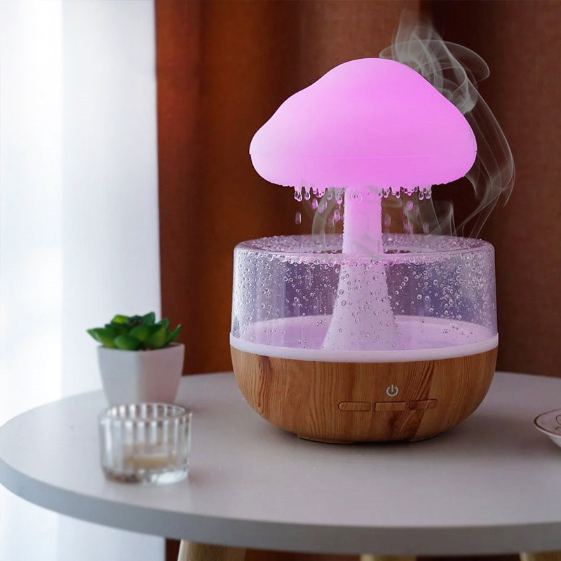 Rain Cloud Humidifier detail view